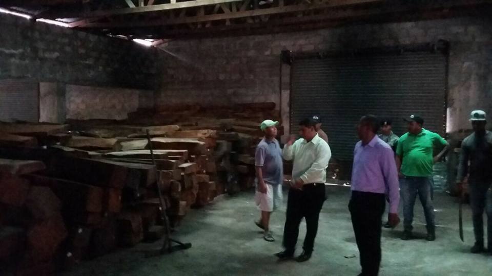 Medio Ambiente incauta madera en Mamey los Hidalgo