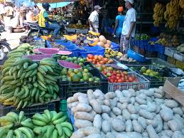 Precios de productos agrícolas se mantienen estable mercado PP