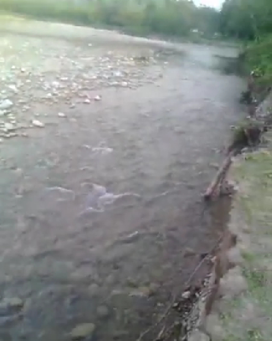 Denuncia varias casas de Agostura podrían colapsar