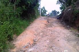 Demandan reparación de caminos vecinales de Guananico y Altamira