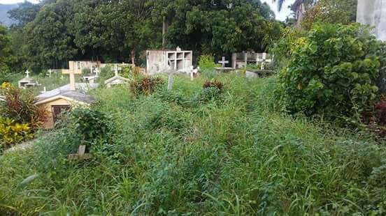 Denuncian descuido cementerio de Palmar Grande.