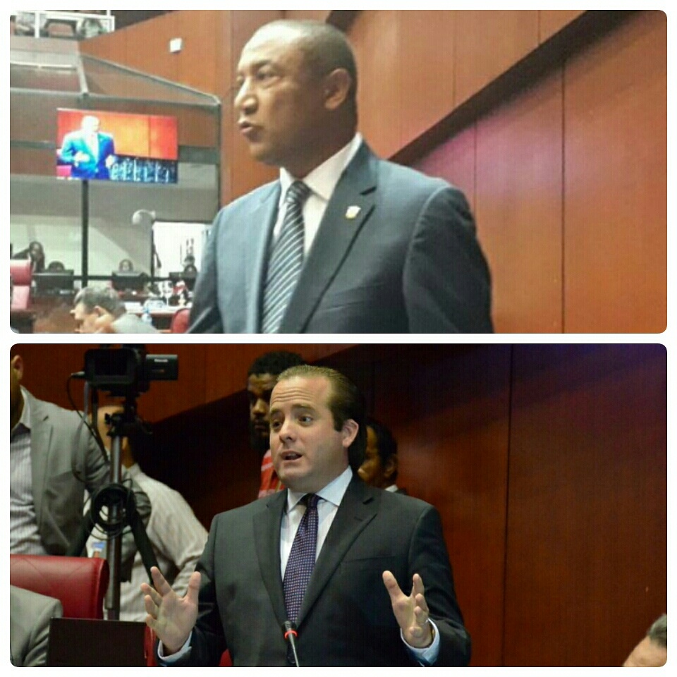 Senadores perremeistas presentan proyecto de ley simplificación.