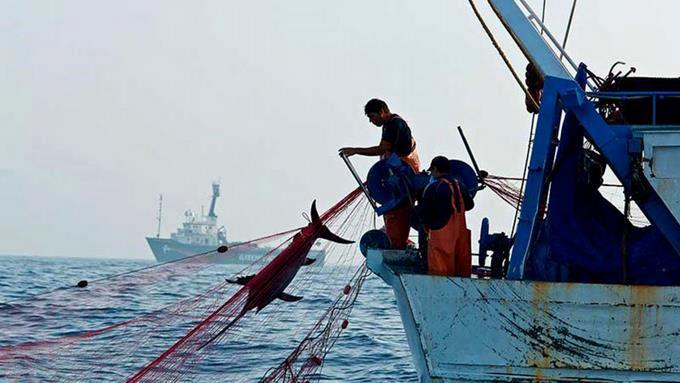 124 pescadores están presos en Bahama