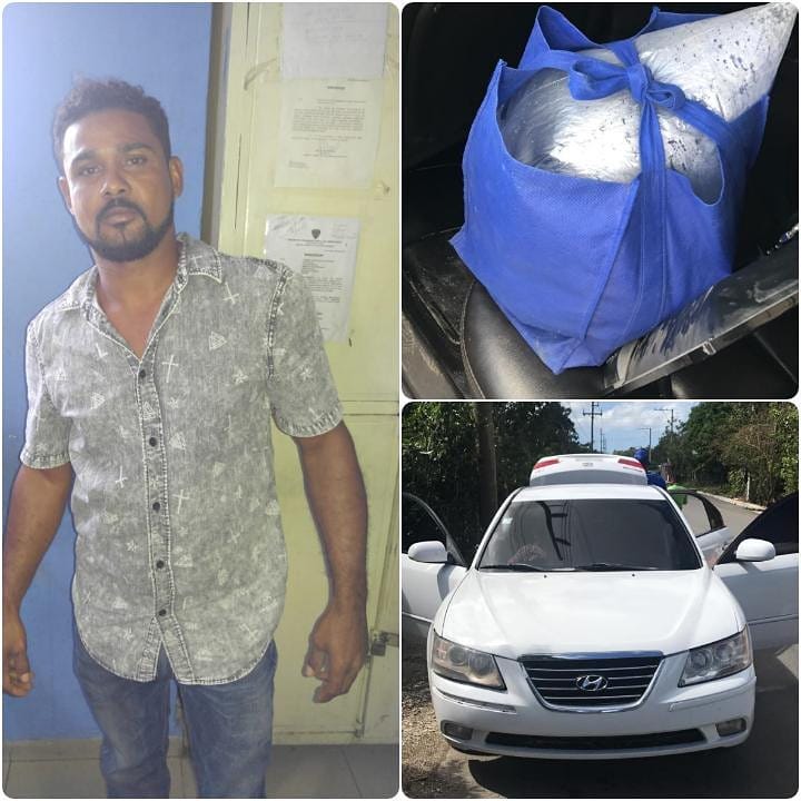 Tribunal de Puerto Plata impone tres meses hombre acusado comercialización de especie protegidas.