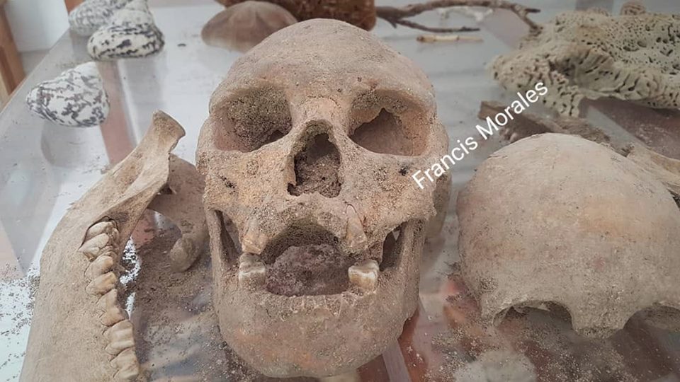 Encuentran caneo humano podría tener 400 años