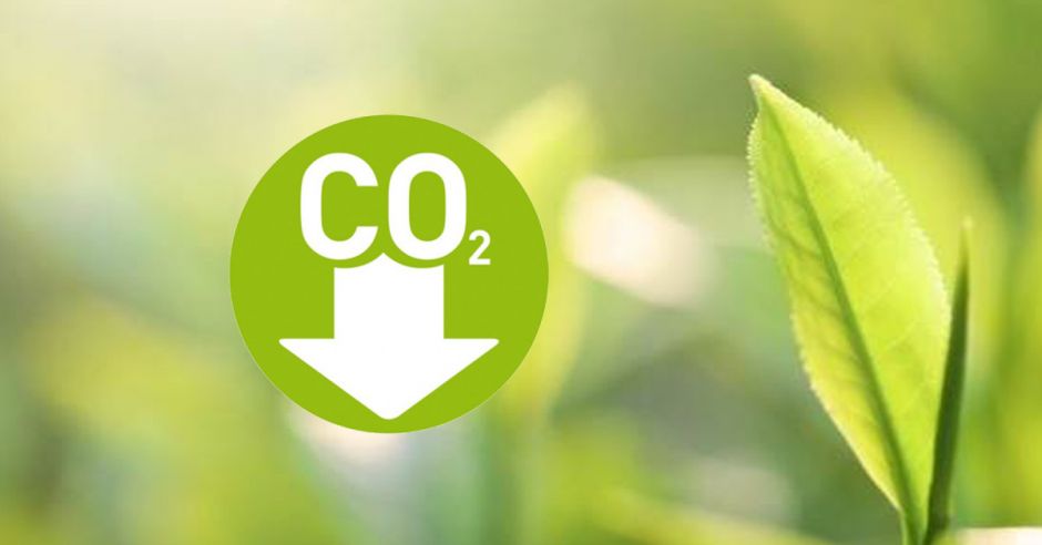 Operaciones de SICPA en Latinoamérica serán carbono neutrales al 2021