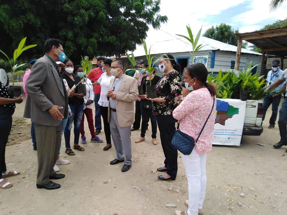Indenor realiza donación de 175 plantas de palmeras
