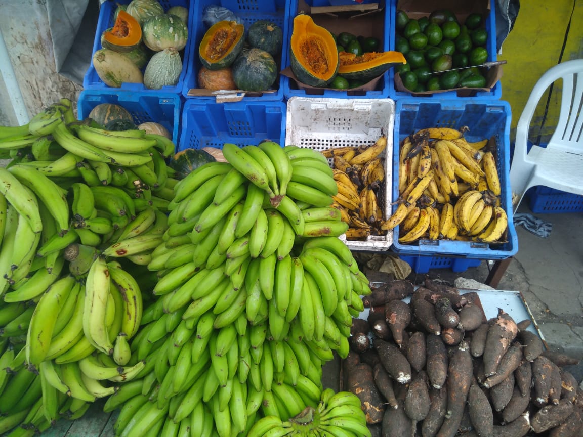 Productos agrícolas continúan en alza.