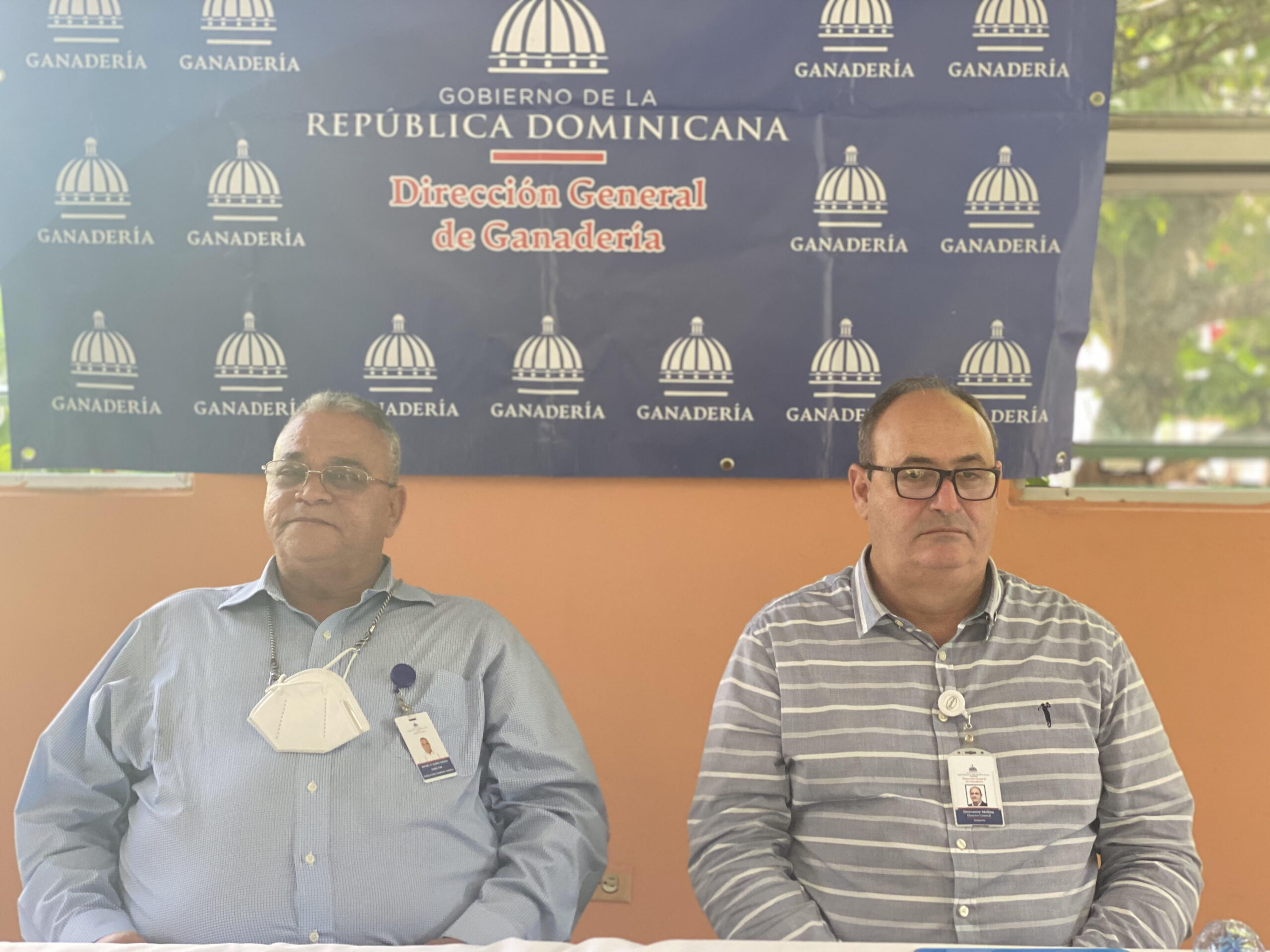 Dirección General de Ganadería garantiza carne de cerdo de calidad