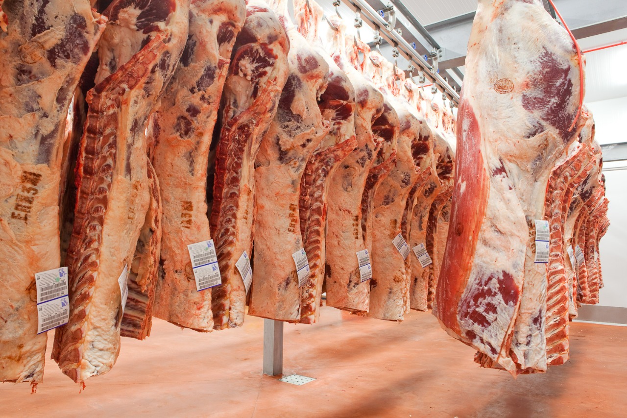 RD aspira a exportar US$690 mm en carne en 5 años