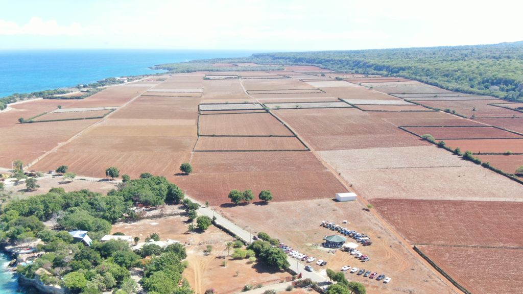 Gobierno inicia programa de siembra de maíz en Luperón y Villa Isabela