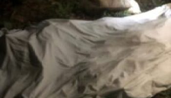 Familiares de hombre descuartizado en Yásica piden justicia a dos meses de su muerte