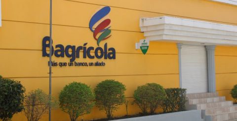 Banco agrícola ha sembrado más de 40 mil tareas