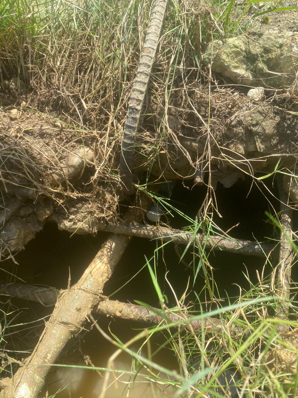 Coraappata desmonta conexiones ilegales en Madre Vieja
