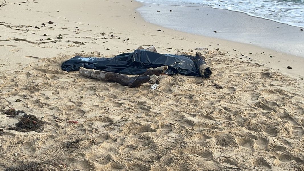 Identifican persona muerta en playa Camacho
