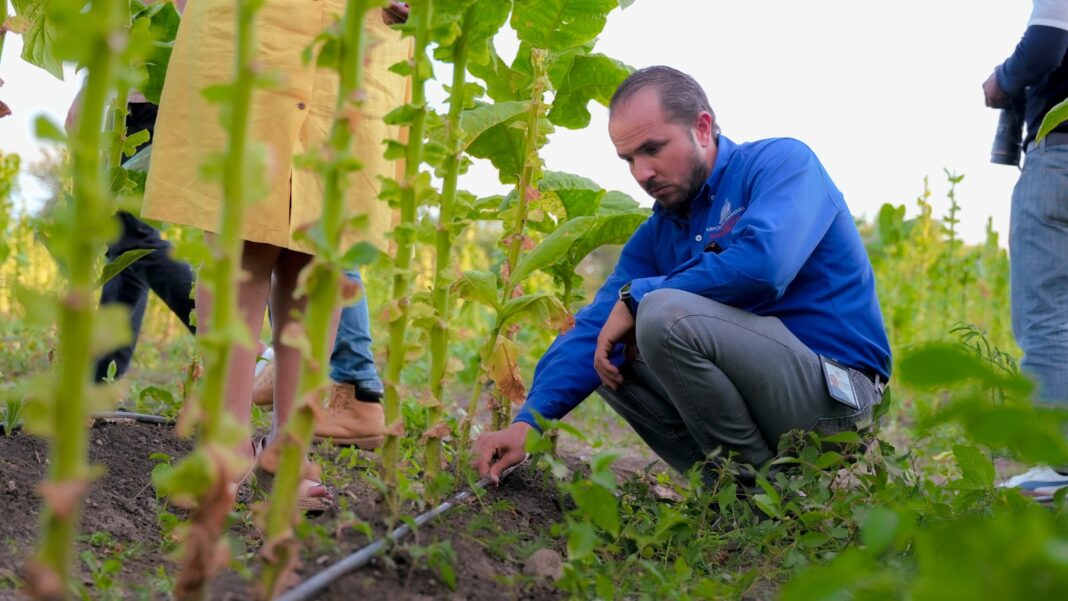 Tecnificación de Riego impulsa transformación del campo con modelo de modernización agrícola